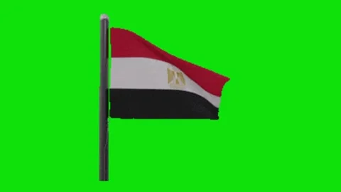Flag animation on green screen Vidéo 328898912