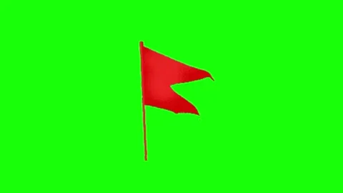 Flag animation on green screen Vidéo 328899752