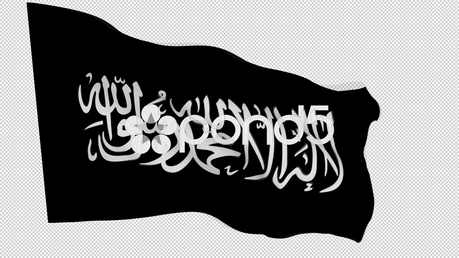 Flag animation white alpha-Islamic Movem... | Stock Video | Pond5