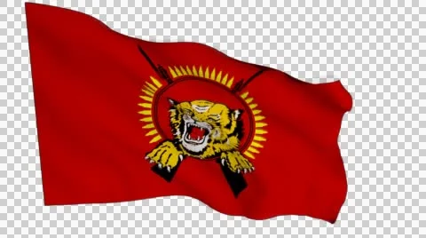 Flag of Tamil Eelam stock illustration. Illustration of flag - 84695574