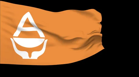 Flag of Antarctica Video stock 1053029