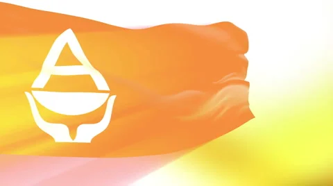 Flag of Antarctica Video stock 1053070