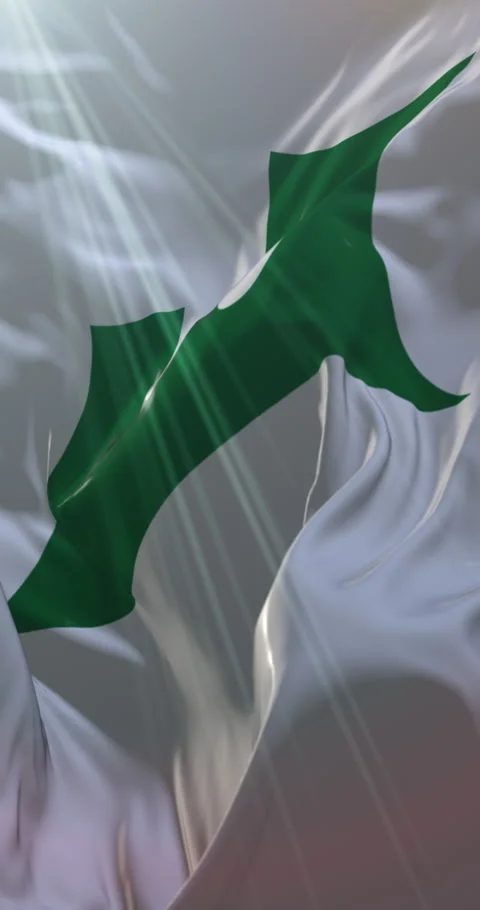 Flag of Aomori Prefecture, Japan. Loop. 4K Vertical Stock Footage 304896580