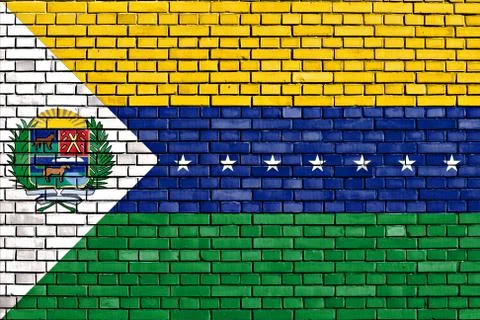 Flag of Apure State painted on brick wall Stock Illustration