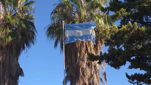 Flag of Argentina waving in the wind against clear blue sky Video stock 339020995