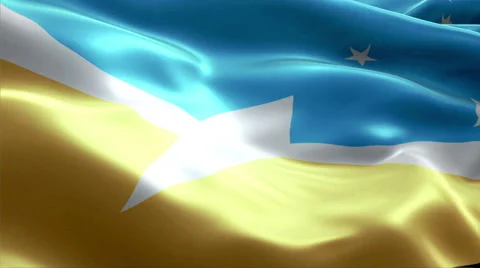 Flag Argentine-Antarctica Stock-Footage 47712404
