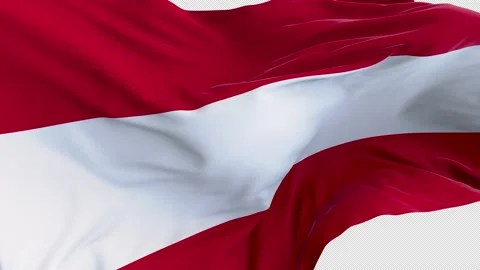 Flag Austria 4K Stock-Footage 310031228