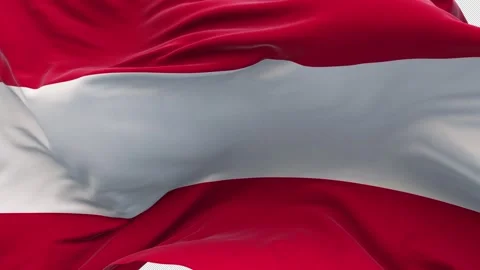 Flag Austria 4K 스톡 동영상 310031235