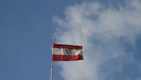 Flag Austria Vídeos de archivo 7905319