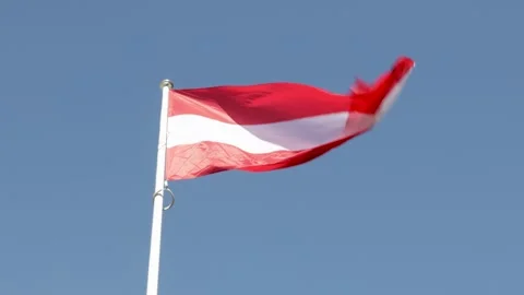 Flag of Austria waving in wind against blue sky Video stock 259425294