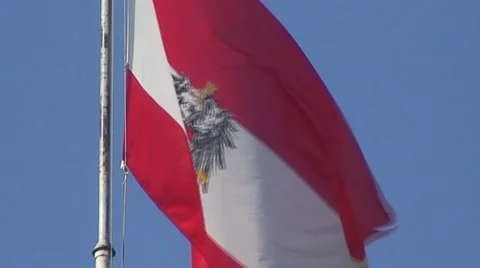 Flag of Austria in Wind Video stock 934995