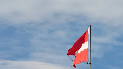 Flag of Austria in the wind. Stock Footage 97151938
