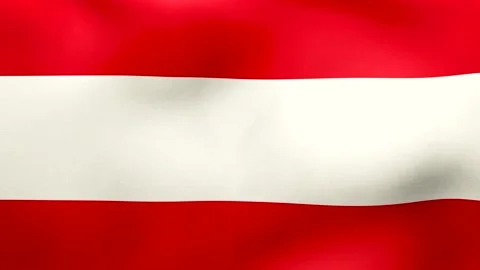 Flag of Austria in the wind Stock Footage 160855314