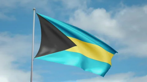 Flag of Bahamas Video stock 441975