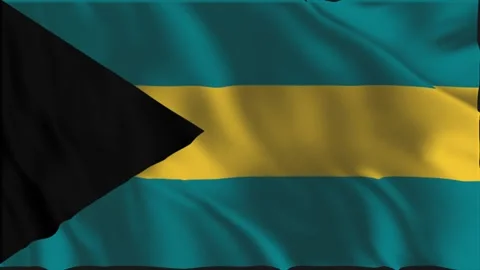 Flag of the Bahamas waving slowly Video stock 339621739