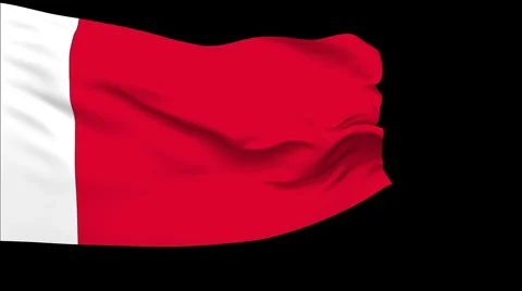 Flag of Bahrain Stock Footage 1053792