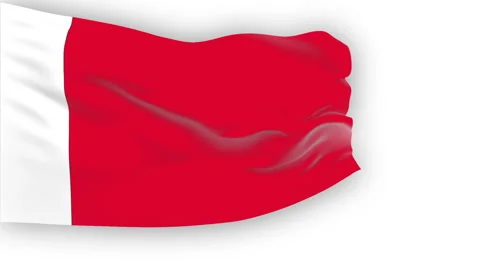 Flag of Bahrain Stock Footage 1053823