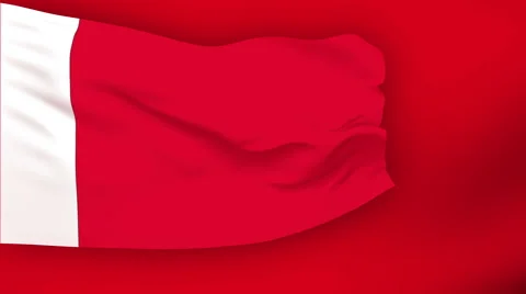 Flag of Bahrain Video stock 1053824