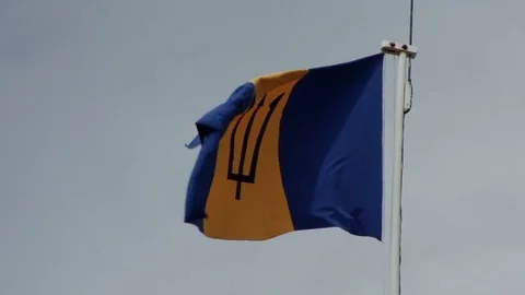 Flag of Barbados flying in the wind Stock Footage 75418126