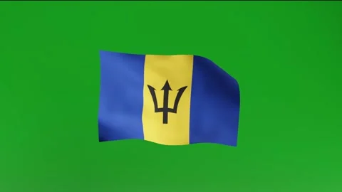 Flag of Barbados Stock Footage 162025799