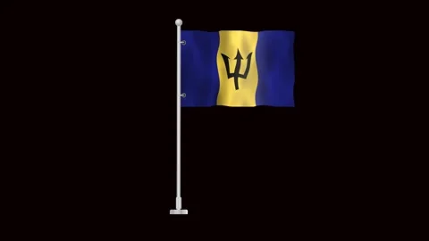 Flag of Barbados waving Video stock 318784224