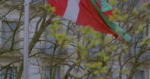 Flag of Basque wawing against light wind with government building in Stock Footage 154307997