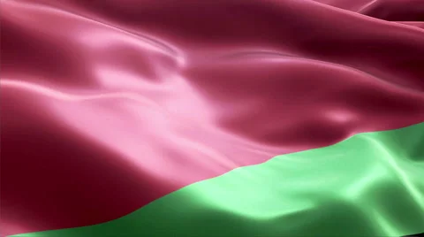Flag Belarus Vídeos de archivo 47716016