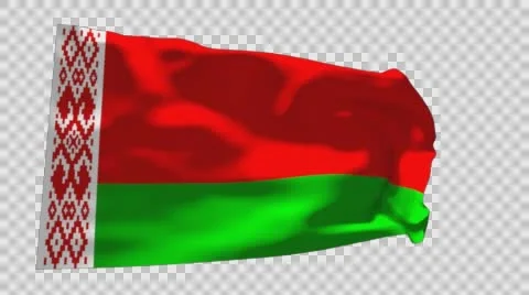 Flag of Belarus Stockbeeldmateriaal 60636417