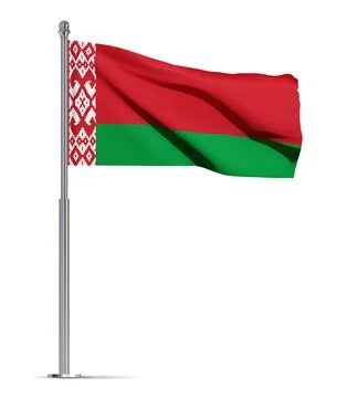 Flag of Belarus isolated on white background Stock Illustration