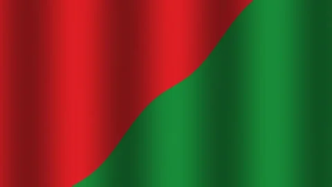 Flag of Belarus waving on a clear day in an outdoor setting Stock Footage 338111817