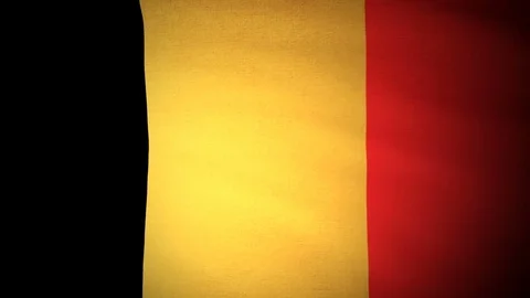 Flag Belgium 05 Stock Footage 81780450
