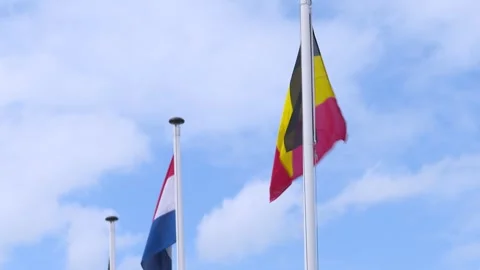 Flag of Belgium Blowing over Clear Blue Sky Stock Footage 325351880