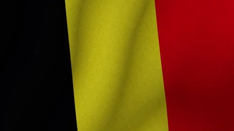 The flag of Belgium. The evolving 3d national flag of Belgium. 1080p HD Stock-Footage 271619987