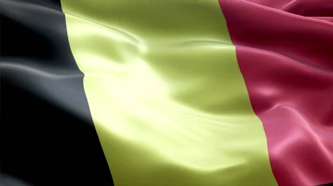 Flag Belgium Vídeos de archivo 47716217