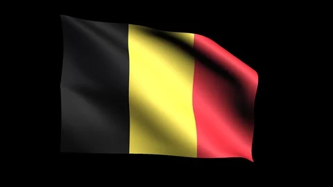 Flag of Belgium 스톡 동영상 127444124