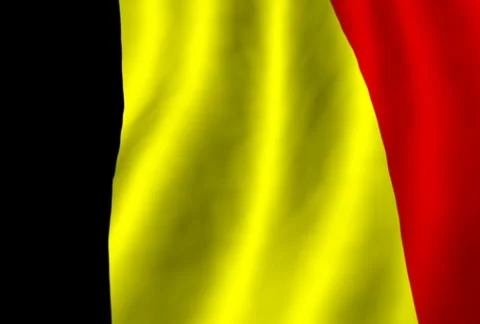 The flag of Belgium Stock Footage 291754694