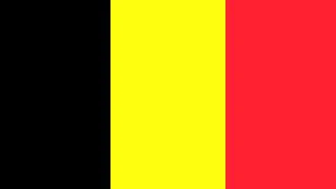 Flag of Belgium. Stock Illustration