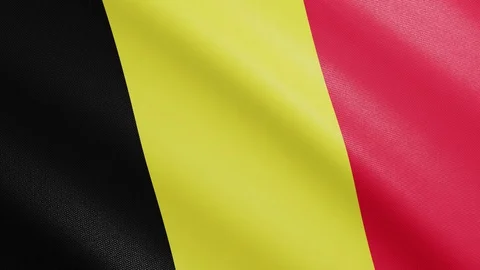 Flag of Belgium with Realistic Fabric Texture Waving in the Wind. Video stock 129166148