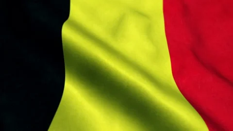 Flag of Belgium Seamless loop 库存影片 206153507