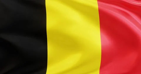 Flag of Belgium, Seamless looping animation fluttering in the wind Stock Footage 172500106