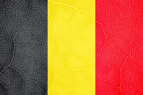Flag of Belgium on the structure of a tree leaf macro Stock-Fotos