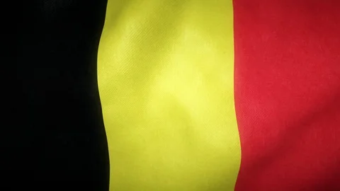 Flag of Belgium waving in the wind Stock-Footage 125832405