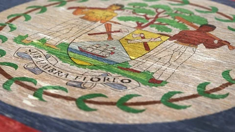 Flag Of Belize. 1080p, 60fps Stock Footage 116971967