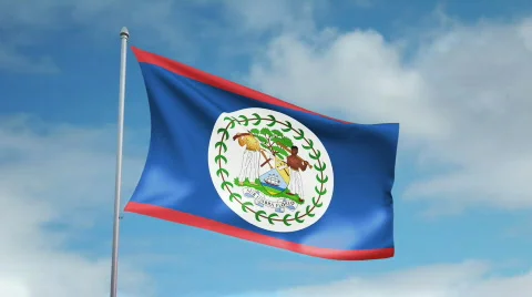 Flag of Belize  스톡 동영상 435243