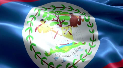 Flag Belize Stock-Footage 47716488