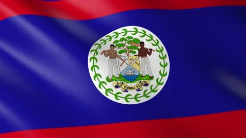 Flag of Belize Video stock 150670965
