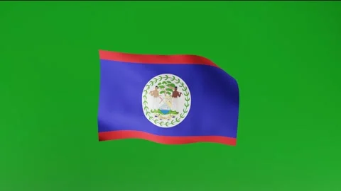 Flag of Belize Stock Footage 162025735