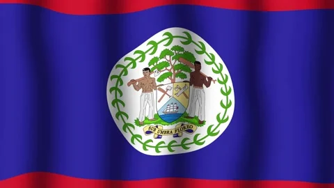 Flag of Belize Vidéo 175708406
