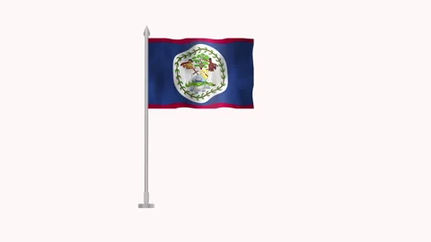 Flag of Belize, Pole flag of Belize on white screen, Belize 3D Animation fl.. Stock Footage 263979696
