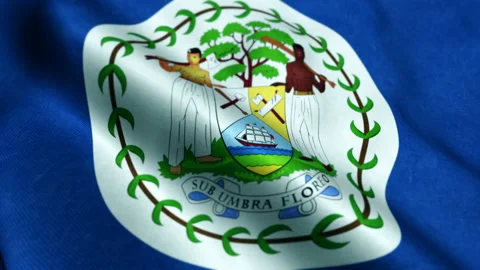Flag of Belize Seamless loop Видео 206154659